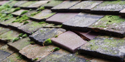 Llandyfriog roof repair costs